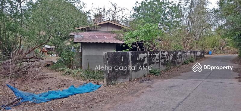 ขาย - บ้านปูน 1 ชั้น L4_8_0329_G01, นครราชสีมา