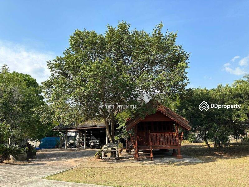 ขายที่ดินพัทยา อำเภอบางละมุง ชลบุรี ติดถนน 2 ฝั่ง ใกล้มอเตอร์เวย์ชลบุรี-พัทยา, ชลบุรี, มอเตอร์เวย์ชลบุรี-พัทยา, ตะเคียนเตี้ย, บางละมุง, ชลบุรี, 13,488 ตร.ม., ที่ดิน ขาย, โดย ฟารีดา ไทปทาน, 11465120 - DDproperty.com