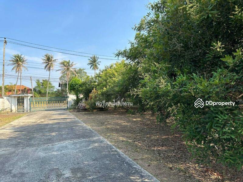 ขายที่ดินพัทยา อำเภอบางละมุง ชลบุรี ติดถนน 2 ฝั่ง ใกล้มอเตอร์เวย์ชลบุรี-พัทยา, ชลบุรี, มอเตอร์เวย์ชลบุรี-พัทยา, ตะเคียนเตี้ย, บางละมุง, ชลบุรี, 13,488 ตร.ม., ที่ดิน ขาย, โดย ฟารีดา ไทปทาน, 11465120 - DDproperty.com