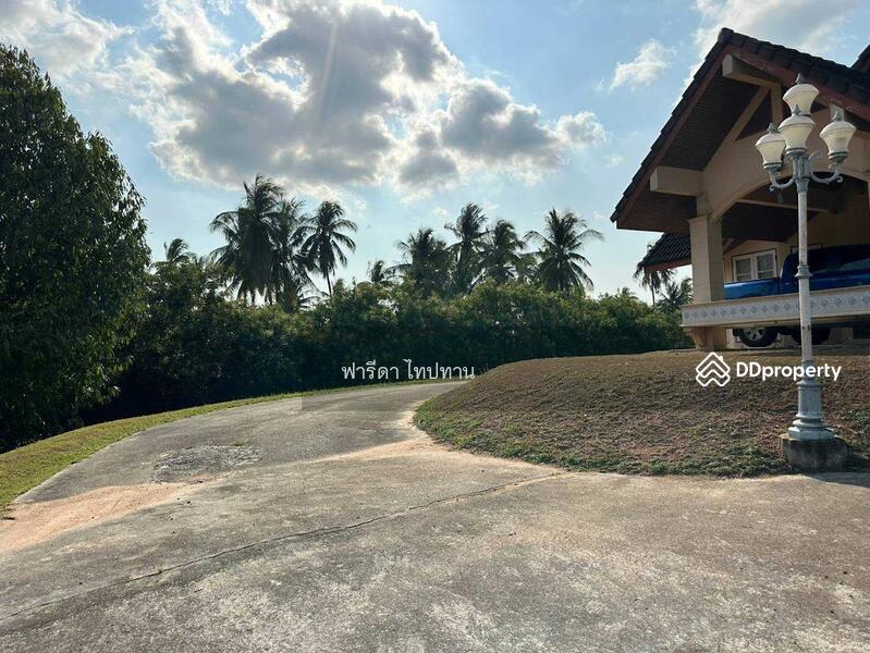 ขายที่ดินพัทยา อำเภอบางละมุง ชลบุรี ติดถนน 2 ฝั่ง ใกล้มอเตอร์เวย์ชลบุรี-พัทยา, ชลบุรี, มอเตอร์เวย์ชลบุรี-พัทยา, ตะเคียนเตี้ย, บางละมุง, ชลบุรี, 13,488 ตร.ม., ที่ดิน ขาย, โดย ฟารีดา ไทปทาน, 11465120 - DDproperty.com