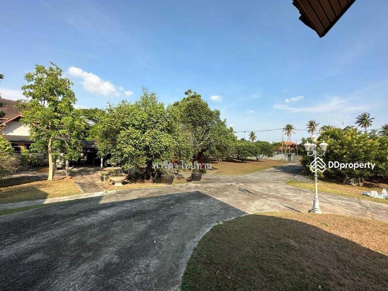 ขายที่ดินพัทยา อำเภอบางละมุง ชลบุรี ติดถนน 2 ฝั่ง ใกล้มอเตอร์เวย์ชลบุรี-พัทยา, ชลบุรี, มอเตอร์เวย์ชลบุรี-พัทยา, ตะเคียนเตี้ย, บางละมุง, ชลบุรี, 13,488 ตร.ม., ที่ดิน ขาย, โดย ฟารีดา ไทปทาน, 11465120 - DDproperty.com