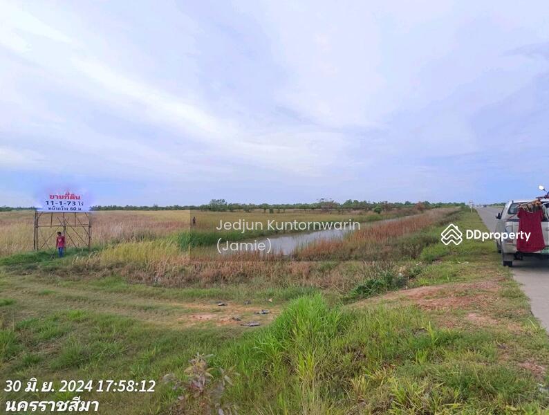 ขายที่ดิน ริมถนนวงแหวนโคราช 11ไร่ ไร่ละ 1.2 ล้าน, Nakhon Ratchasima, วงแหวนโคราช, Kam Pang, Non Thai, Nakhon Ratchasima, , 18,292 sqm, Land For Sale, by Jedjun Kuntornwarin (Jamie), 11465149 - DDproperty.com