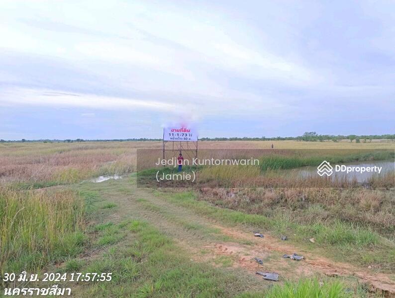 ขายที่ดิน ริมถนนวงแหวนโคราช 11ไร่ ไร่ละ 1.2 ล้าน, นครราชสีมา, วงแหวนโคราช, กำปัง, โนนไทย, นครราชสีมา, 18,292 ตร.ม., ที่ดิน ขาย, โดย Jedjun Kuntornwarin (Jamie), 11465149 - DDproperty.com