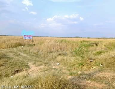 ขาย - ขายที่ดิน ริมถนนวงแหวนโคราช 11ไร่ ไร่ละ 1.2 ล้าน, นครราชสีมา