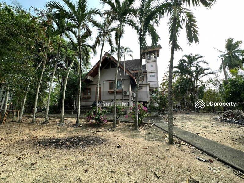 ขายที่ดินพัทยา ติดถนน 2 ฝั่ง อำเภอบางละมุง ชลบุรี ใกล้มอเตอร์เวย์ชลบุรี-พัทยา, ชลบุรี, มอเตอร์เวย์ชลบุรี-พัทยา, ตะเคียนเตี้ย, บางละมุง, ชลบุรี, 11,868 ตร.ม., ที่ดิน ขาย, โดย ฟารีดา ไทปทาน, 11465153 - DDproperty.com