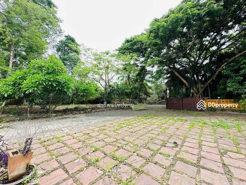 ขายที่ดินพัทยา ติดถนน 2 ฝั่ง อำเภอบางละมุง ชลบุรี ใกล้มอเตอร์เวย์ชลบุรี-พัทยา, ชลบุรี, มอเตอร์เวย์ชลบุรี-พัทยา, ตะเคียนเตี้ย, บางละมุง, ชลบุรี, 11,868 ตร.ม., ที่ดิน ขาย, โดย ฟารีดา ไทปทาน, 11465153 - DDproperty.com