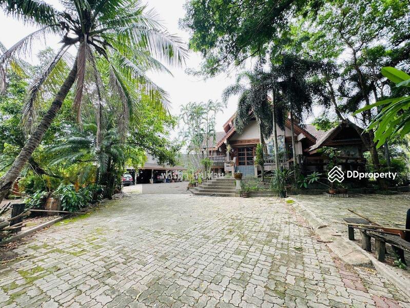 For Sale - ขายที่ดินพัทยา อำเภอบางละมุง ชลบุรี ติดถนน 2 ด้าน ใกล้มอเตอร์เวย์ชลบุรี-พัทยา, Chon Buri