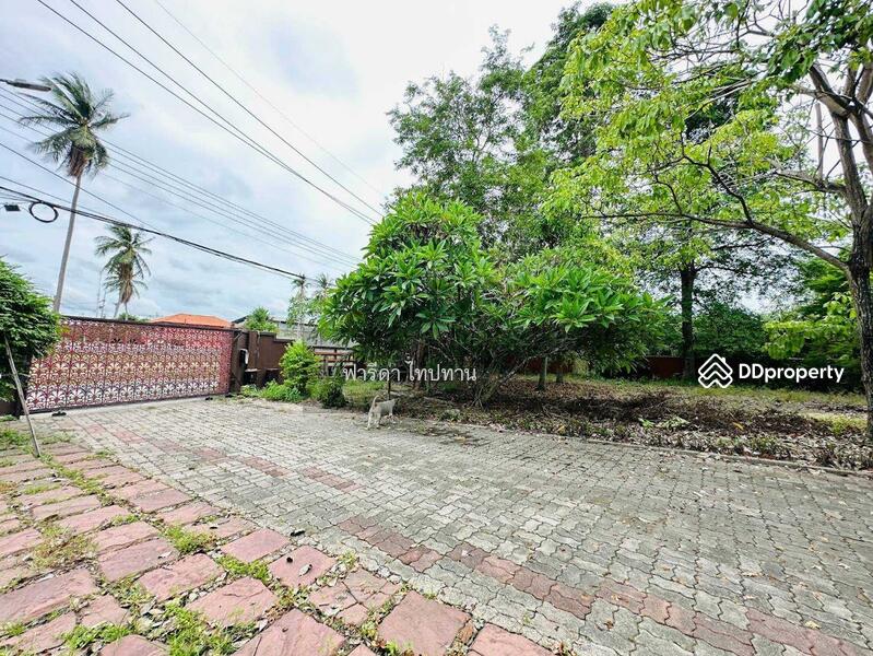 ขายที่ดินพัทยา ติดถนน 2 ฝั่ง อำเภอบางละมุง ชลบุรี ใกล้มอเตอร์เวย์ชลบุรี-พัทยา, ชลบุรี, มอเตอร์เวย์ชลบุรี-พัทยา, ตะเคียนเตี้ย, บางละมุง, ชลบุรี, 11,868 ตร.ม., ที่ดิน ขาย, โดย ฟารีดา ไทปทาน, 11465153 - DDproperty.com