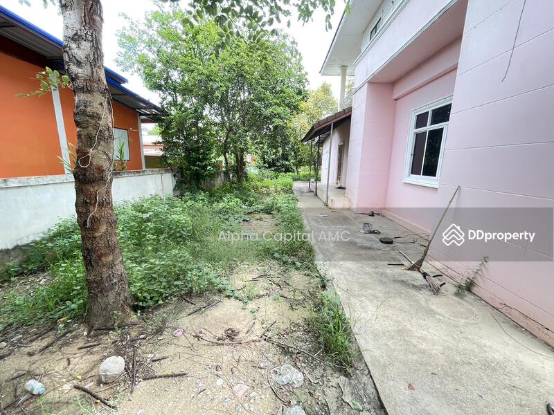 2-ST Single House L4_8_0289_G01, Kamphaeng Phet, 104 ถนนบ้านโนนพลอย-บ้านวังพลับ (กพ.3044), Thapnimit, Bung Samakkhi, Kamphaeng Phet, 3 Bedrooms, 352 sqm, Single Detached House For Sale, by Alpha Capital AMC, 11465256 - DDproperty.com