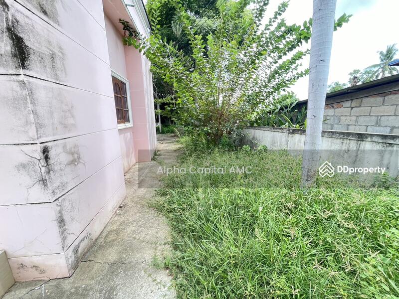 บ้านเดี่ยว 2 ชั้น L4_8_0289_G01, กำแพงเพชร, 104 ถนนบ้านโนนพลอย-บ้านวังพลับ (กพ.3044), เทพนิมิต, บึงสามัคคี, กำแพงเพชร, 352 ตร.ม., บ้านเดี่ยว ขาย, โดย Alpha Capital AMC, 11465256 - DDproperty.com