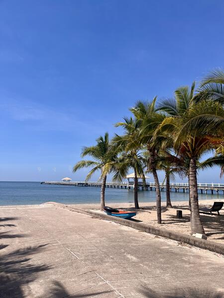 ขาย - Casalunar Village : หมู่บ้านคาซาลูน่า, ชลบุรี