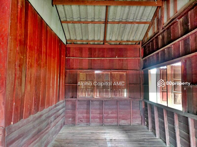 Sale 2-ST Wooden-Concrete House L4_5_0113_G01, Kalasin, 139 ถนนยางตลาด-โพนทอง, Yang Talat, Kalasin, 1 Bedroom, 250 sqm, Single Detached House For Sale, by Alpha Capital AMC, 11465901 - DDproperty.com
