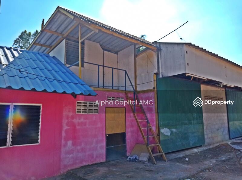 Sale Land and building,1-storey residential building L4_8_0555_G01, Chaiyaphum, 44 หมู่ที่ 10 ถนนบ้านแจ้งเจริญ-บ้านโสกเชือก (ชย.4021), Non Kok, Kaset Sombon, Chaiyaphum, 3 Bedrooms, 212 sqm, Single Detached House For Sale, by วารุณี จำรูญนุรักษ์, 11466812 - DDproperty.com