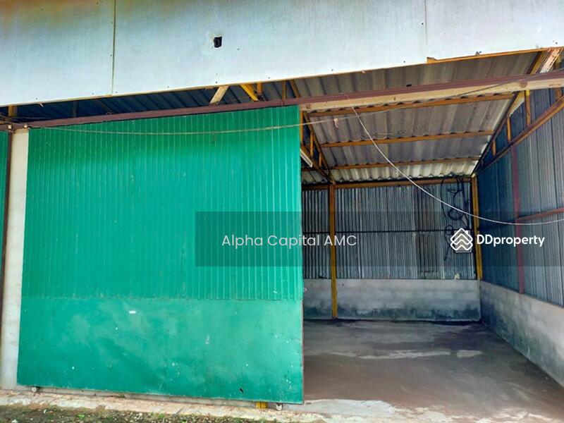 ขายที่ดิน พร้อมสิ่งปลูกสร้าง บ้านพักชั้นเดียว L4_8_0555_G01, ชัยภูมิ, 44 หมู่ที่ 10 ถนนบ้านแจ้งเจริญ-บ้านโสกเชือก (ชย.4021), โนนกอก, เกษตรสมบูรณ์, ชัยภูมิ, 212 ตร.ม., บ้านเดี่ยว ขาย, โดย วารุณี จำรูญนุรักษ์, 11466812 - DDproperty.com