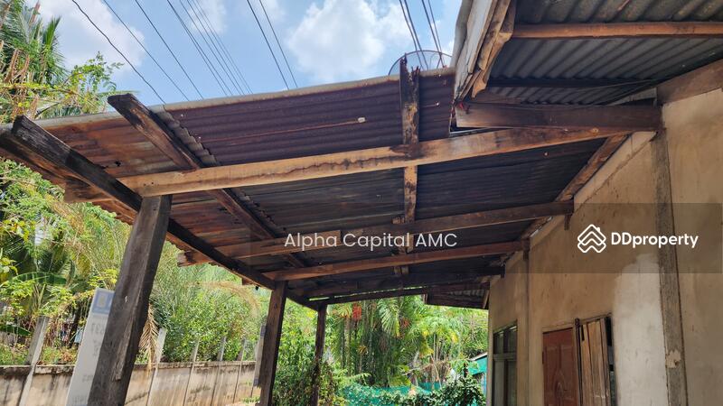 บ้านเดี่ยว 1 ชั้น บ้านคำเหมือดแก้ว 65บ้านห้วยเม็ก-บ้านดงบัง อ.ห้วยเม็ก จ.กาฬสินธุ์ L4_4_0637_G01, กาฬสินธุ์, 65 หมู่ 2 ห้วยเม็ก-บ้านดงบัง (กส.2025), คำเหมือดแก้ว, ห้วยเม็ก, กาฬสินธุ์, 115 ตร.ม., บ้านเดี่ยว ขาย, โดย Alpha Capital AMC, 11467652 - DDproperty.com