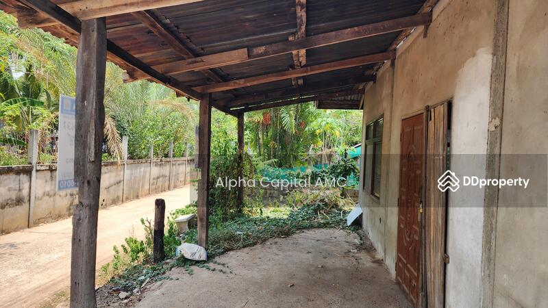 1-ST Single House, Ban Kham Muead Kaeo, Huai Mek, KALASIN, L4_4_0637_G01, Kalasin, 65 หมู่ 2 ห้วยเม็ก-บ้านดงบัง (กส.2025), Kham Muat Kaeo, Huai Mek, Kalasin, Studio, 115 sqm, Single Detached House For Sale, by Alpha Capital AMC, 11467652 - DDproperty.com