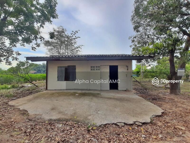 1-storey Single House, Nong Prue-Lao Khwan (3306), Lao Khwan, KANCHANABURI L4_3_0307_G01, Kanchanaburi, 44, 69 หนองปรือ-เลาขวัญ (3306), Lao Khwan, Lao Khwan, Kanchanaburi, 2 Bedrooms, 613 sqm, Single Detached House For Sale, by Alpha Capital AMC, 11468678 - DDproperty.com