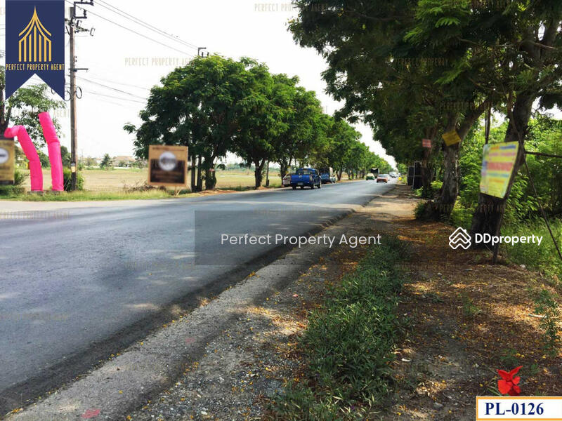 ขายที่ดิน 30 ไร่ 2 งาน, กรุงเทพ, - -, ขุมทอง, ลาดกระบัง, กรุงเทพ, 48,800 ตร.ม., ที่ดิน ขาย, โดย ปภัชญา ธนัตถ์ภรณ์, 11468728 - DDproperty.com