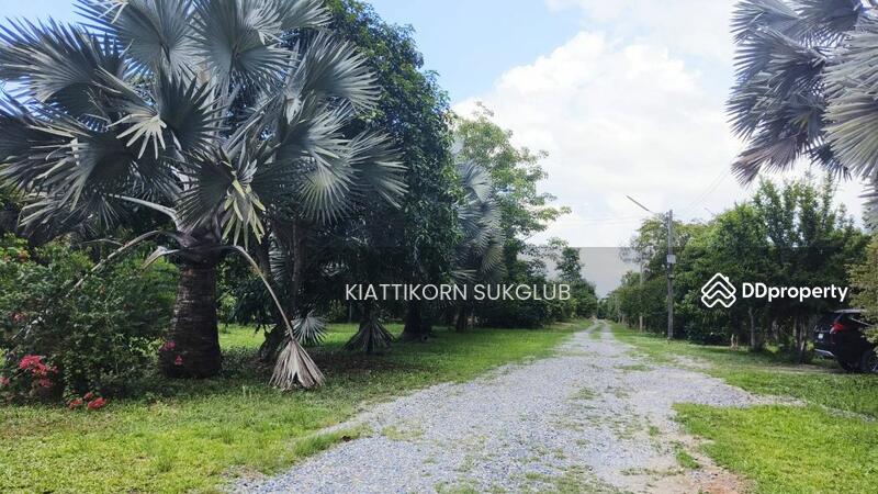 For Rent - ที่ดิน, Nakhon Si Thammarat
