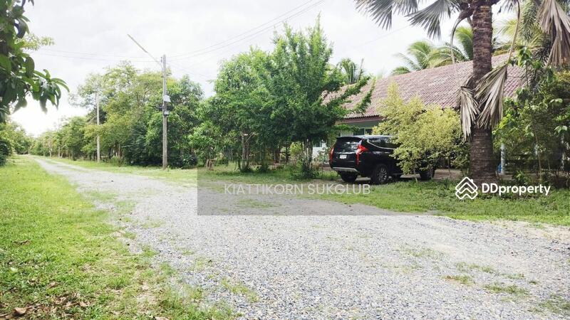 For Rent - ที่ดิน, Nakhon Si Thammarat
