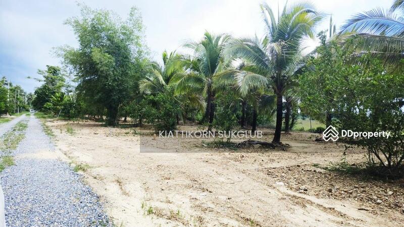 For Rent - ที่ดิน, Nakhon Si Thammarat