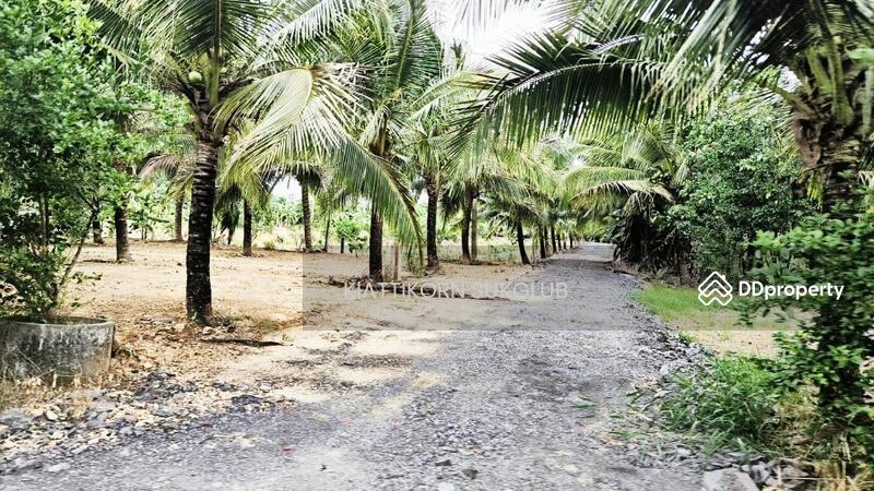 For Rent - ที่ดิน, Nakhon Si Thammarat