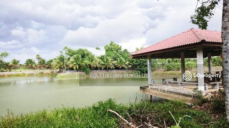 For Rent - ที่ดิน, Nakhon Si Thammarat