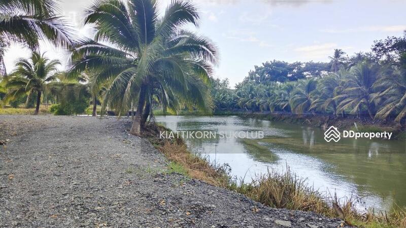 For Rent - ที่ดิน, Nakhon Si Thammarat