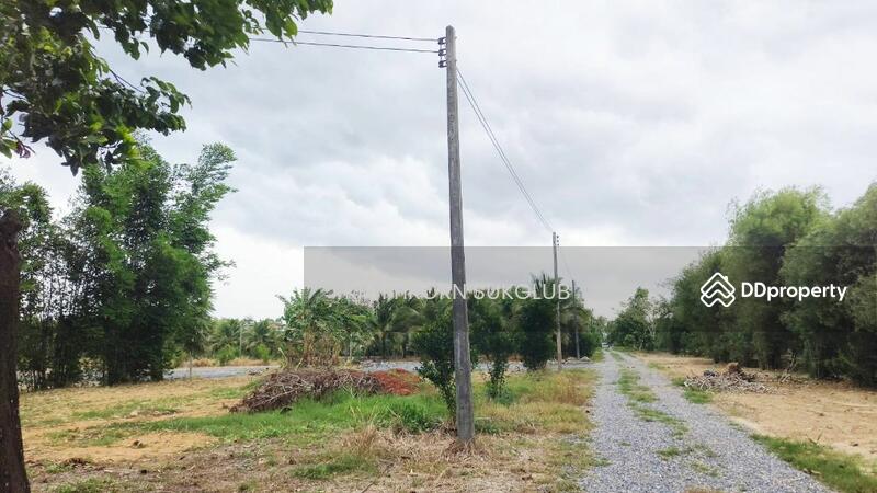 For Rent - ที่ดิน, Nakhon Si Thammarat