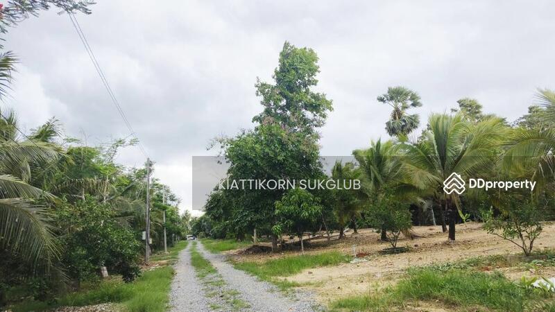 For Rent - ที่ดิน, Nakhon Si Thammarat