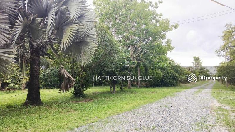 For Rent - ที่ดิน, Nakhon Si Thammarat