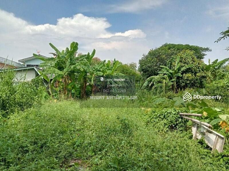 ขาย - ที่ดิน ถนนนครลุง เขตบางแค แขวงบางไผ่, กรุงเทพ