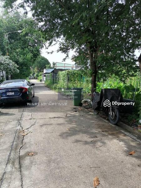 ขาย - ที่ดิน ถนนนครลุง เขตบางแค แขวงบางไผ่, กรุงเทพ