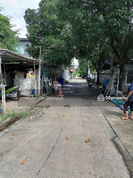ขาย - ที่ดิน ถนนนครลุง เขตบางแค แขวงบางไผ่, กรุงเทพ