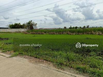 ขาย - ขาย ที่ดิน หนองจอก เลียบวารี ซอยธำรงค์วินิจฉัย - ปุษยไพบูลย์ ใกล้ ม.มหานคร เหมาะปลูกบ้าน ทำเลดี, กรุงเทพ