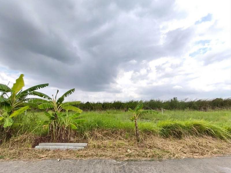 Land for sale Nongjok, Bangkok, Khok Faed, Nong Chok, Bangkok, , 800 sqm, Land For Sale, by คุณนพพล อภินนท์กูล, 11474768 - DDproperty.com