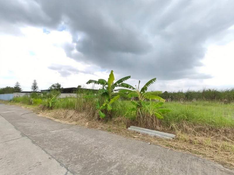 Land for sale Nongjok, Bangkok, Khok Faed, Nong Chok, Bangkok, , 800 sqm, Land For Sale, by คุณนพพล อภินนท์กูล, 11474768 - DDproperty.com