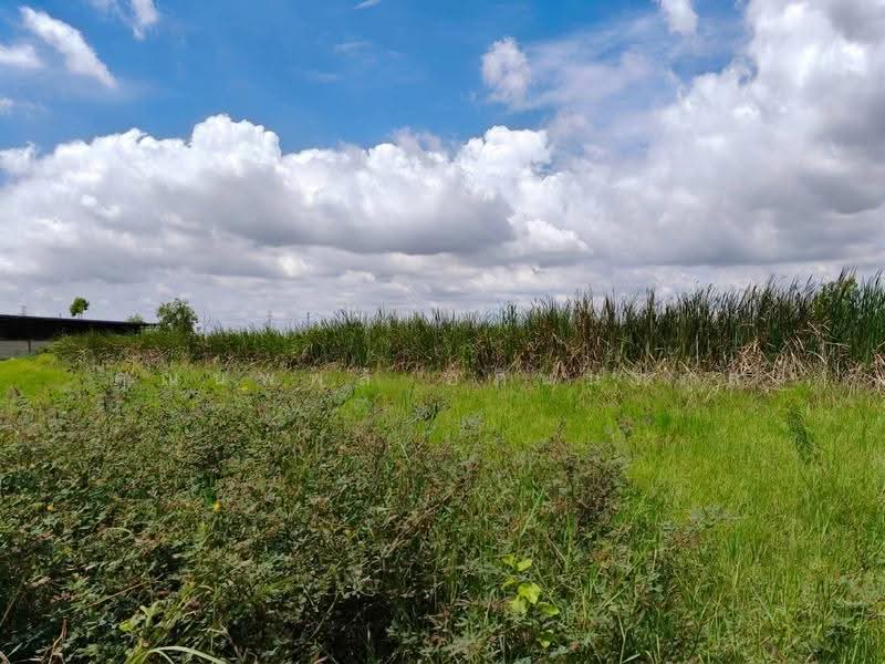 Land for sale Nongjok, Bangkok, Khok Faed, Nong Chok, Bangkok, , 800 sqm, Land For Sale, by คุณนพพล อภินนท์กูล, 11474768 - DDproperty.com
