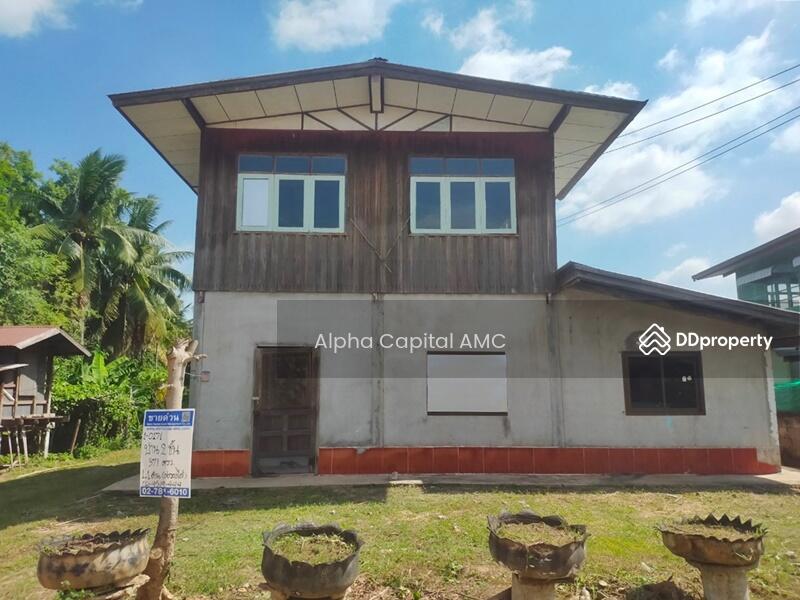 2-ST Single House, Ban Non Sila Leng Road., Khong Chai, KALASIN L4_1_0171_G01, Kalasin, 42,127 Ban Non Sila Leng, Non Sila Lerng, Kong Chai, Kalasin, 2 Bedrooms, 353 sqm, Single Detached House For Sale, by Alpha Capital AMC, 11475178 - DDproperty.com