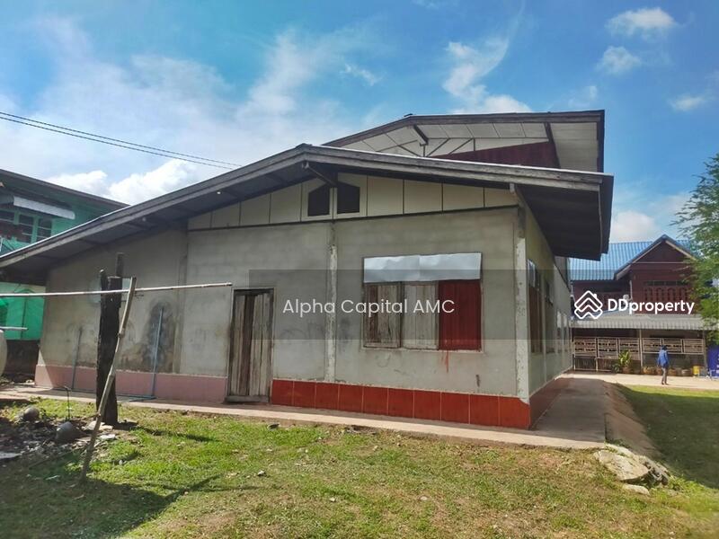 2-ST Single House, Ban Non Sila Leng Road., Khong Chai, KALASIN L4_1_0171_G01, Kalasin, 42,127 Ban Non Sila Leng, Non Sila Lerng, Kong Chai, Kalasin, 2 Bedrooms, 353 sqm, Single Detached House For Sale, by Alpha Capital AMC, 11475178 - DDproperty.com