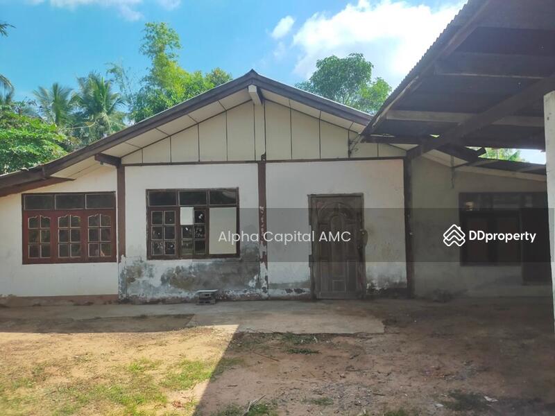 2-ST Single House, Ban Non Sila Leng Road., Khong Chai, KALASIN L4_1_0171_G01, Kalasin, 42,127 Ban Non Sila Leng, Non Sila Lerng, Kong Chai, Kalasin, 2 Bedrooms, 353 sqm, Single Detached House For Sale, by Alpha Capital AMC, 11475178 - DDproperty.com