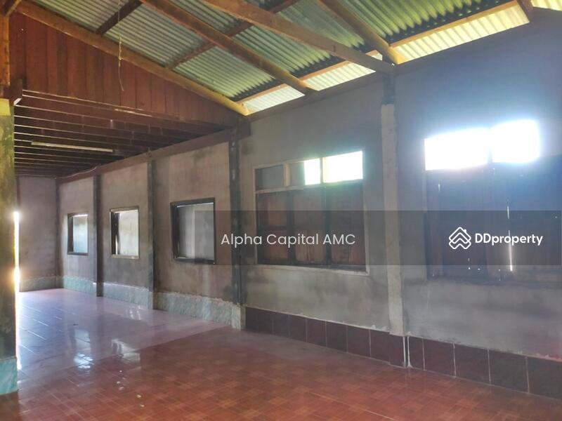 2-ST Single House, Ban Non Sila Leng Road., Khong Chai, KALASIN L4_1_0171_G01, Kalasin, 42,127 Ban Non Sila Leng, Non Sila Lerng, Kong Chai, Kalasin, 2 Bedrooms, 353 sqm, Single Detached House For Sale, by Alpha Capital AMC, 11475178 - DDproperty.com