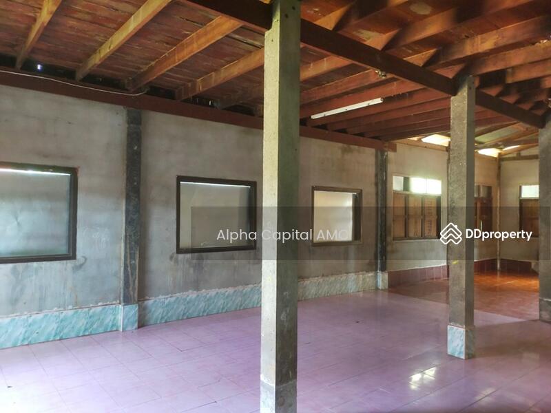 2-ST Single House, Ban Non Sila Leng Road., Khong Chai, KALASIN L4_1_0171_G01, Kalasin, 42,127 Ban Non Sila Leng, Non Sila Lerng, Kong Chai, Kalasin, 2 Bedrooms, 353 sqm, Single Detached House For Sale, by Alpha Capital AMC, 11475178 - DDproperty.com