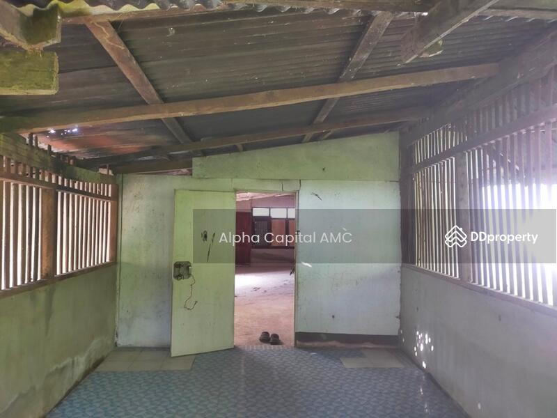 2-ST Single House, Ban Non Sila Leng Road., Khong Chai, KALASIN L4_1_0171_G01, Kalasin, 42,127 Ban Non Sila Leng, Non Sila Lerng, Kong Chai, Kalasin, 2 Bedrooms, 353 sqm, Single Detached House For Sale, by Alpha Capital AMC, 11475178 - DDproperty.com
