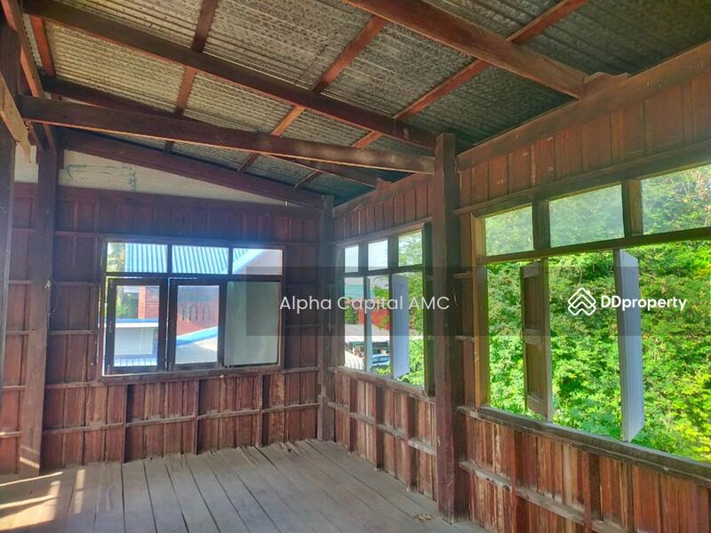 2-ST Single House, Ban Non Sila Leng Road., Khong Chai, KALASIN L4_1_0171_G01, Kalasin, 42,127 Ban Non Sila Leng, Non Sila Lerng, Kong Chai, Kalasin, 2 Bedrooms, 353 sqm, Single Detached House For Sale, by Alpha Capital AMC, 11475178 - DDproperty.com