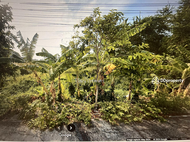 Land for sale on Soi Phetkasem 77 yak 4-13, Bangkok, Nong Kang Plu, Nong Khaem, Bangkok, , 2,864 sqm, Land For Sale, by วิวัฒน์ เวชพงศา, 11475778 - DDproperty.com