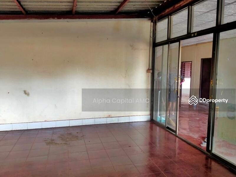 ที่ดินพร้อมสิ่งปลูกสร้าง วังสามหมอ-คำพิมูล (227) ต.สำราญ อ.สามชัย จ.กาฬสินธุ์ L4_7_0153_G01, กาฬสินธุ์, วังสามหมอ-คำพิมูล (227), สำราญ, สามชัย, กาฬสินธุ์, 445 ตร.ม., บ้านเดี่ยว ขาย, โดย Alpha Capital AMC, 11476155 - DDproperty.com