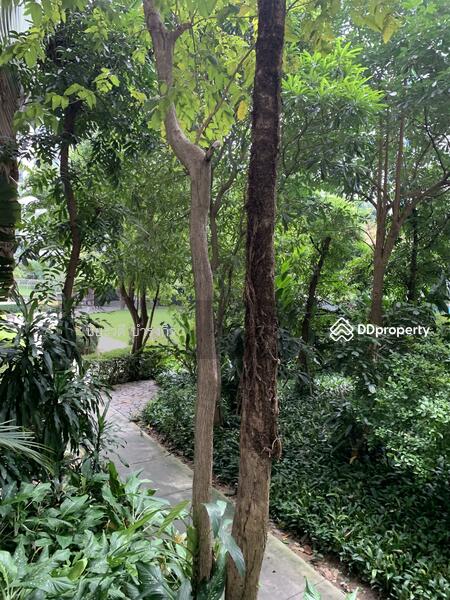 The Parkland Srinakarin : เดอะ พาร์คแลนด์ ศรีนครินทร์, สมุทรปราการ, 577 ตำบล สำโรงเหนือ, สำโรงเหนือ, เมืองสมุทรปราการ, สมุทรปราการ, 40 ตร.ม., คอนโด ให้เช่า, โดย ปิยะวดี บำรุงกิจ, 11476873 - DDproperty.com