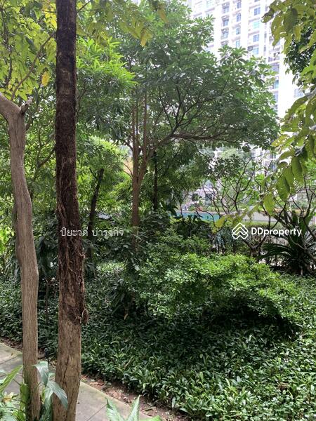 The Parkland Srinakarin : เดอะ พาร์คแลนด์ ศรีนครินทร์, สมุทรปราการ, 577 ตำบล สำโรงเหนือ, สำโรงเหนือ, เมืองสมุทรปราการ, สมุทรปราการ, 40 ตร.ม., คอนโด ให้เช่า, โดย ปิยะวดี บำรุงกิจ, 11476873 - DDproperty.com