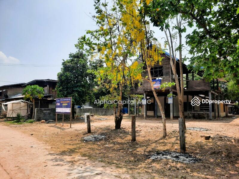 Land with building L4_8_0373_G01, Kalasin, 136 ถนนบ้านหนองแคน-บ้านงิ้วงาม, Don Chan, Don Chan, Kalasin, 2 Bedrooms, 165 sqm, Single Detached House For Sale, by Alpha Capital AMC, 11477174 - DDproperty.com